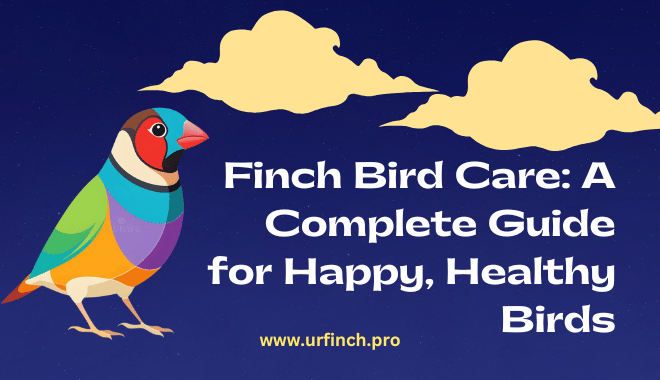 Finch Bird Care A Complete Guide for Happy, Healthy Birds